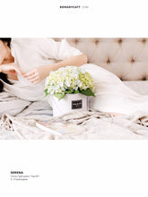 Load image into Gallery viewer, Serena