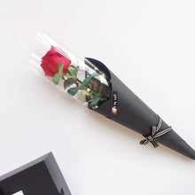 Load image into Gallery viewer, Venita