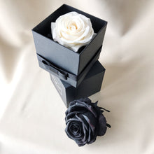 Load image into Gallery viewer, Champagne