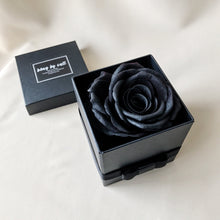 Load image into Gallery viewer, Champagne