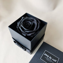 Load image into Gallery viewer, Champagne