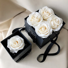 Load image into Gallery viewer, Biancy