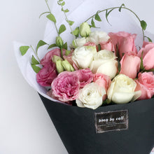 Load image into Gallery viewer, Europhia
