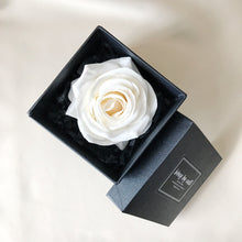 Load image into Gallery viewer, Champagne
