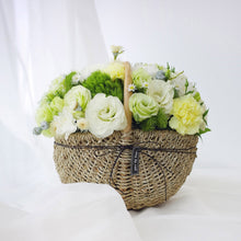 Load image into Gallery viewer, Amii
