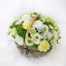 Load image into Gallery viewer, Amii
