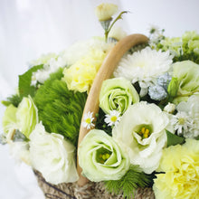 Load image into Gallery viewer, Amii
